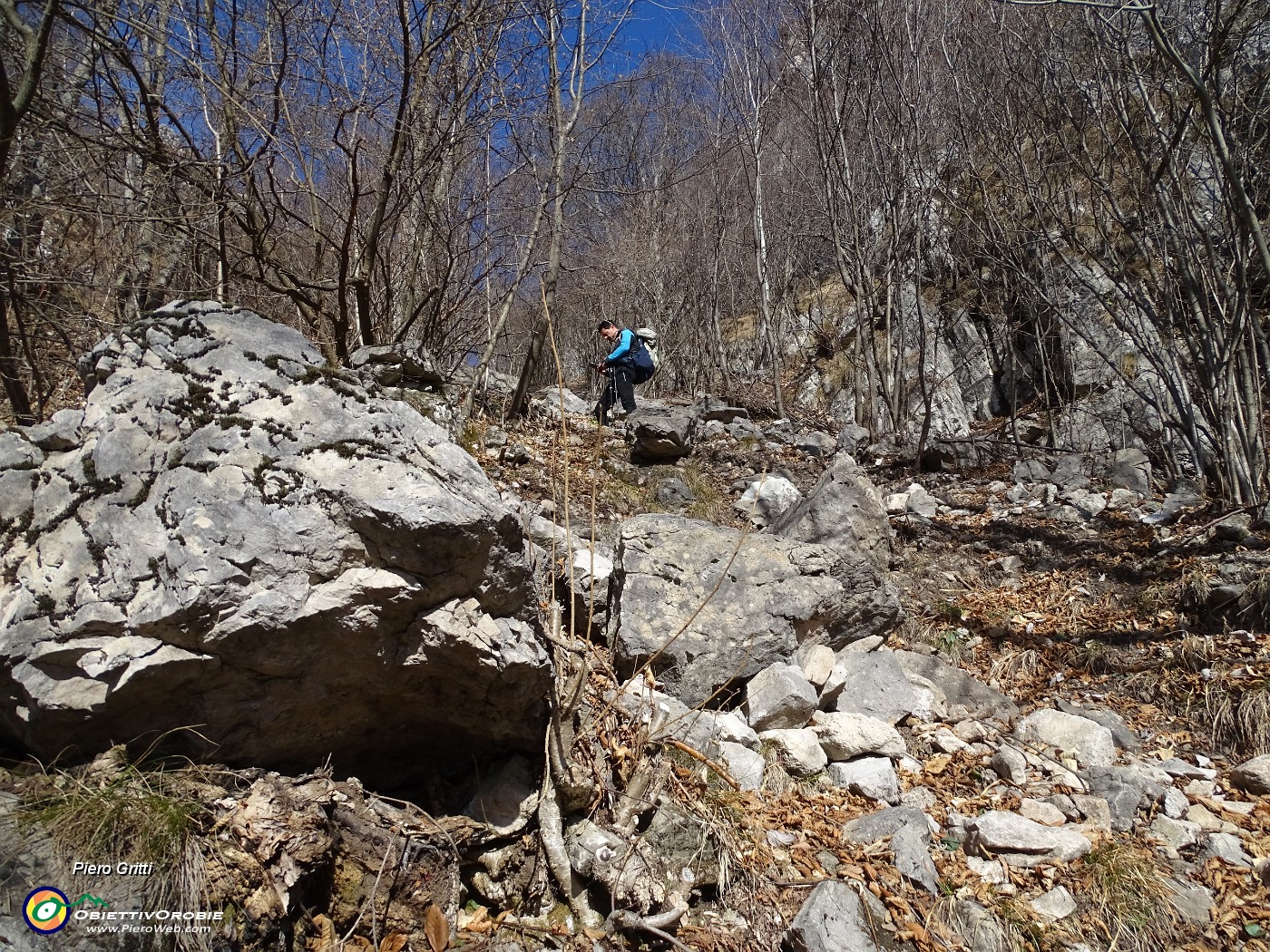 18 Primo tratto in ripida salita nel bosco.JPG